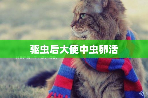 驅蟲后大便中蟲卵活