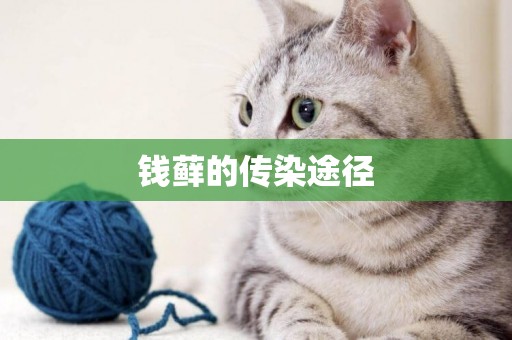 錢蘚的傳染途徑