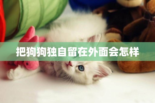 把狗狗獨自留在外面會怎樣