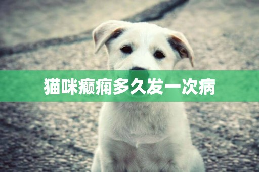貓咪癲癇多久發一次病