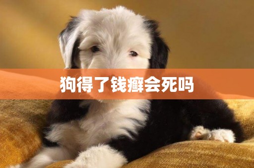 狗得了錢癬會死嗎