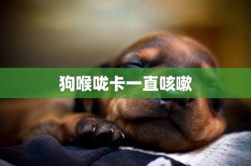 狗喉嚨卡一直咳嗽