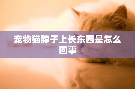 寵物貓脖子上長東西是怎么回事