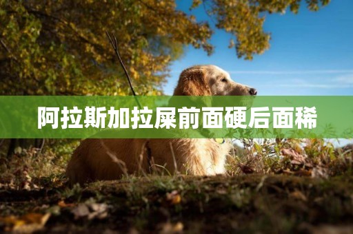 阿拉斯加拉屎前面硬后面稀