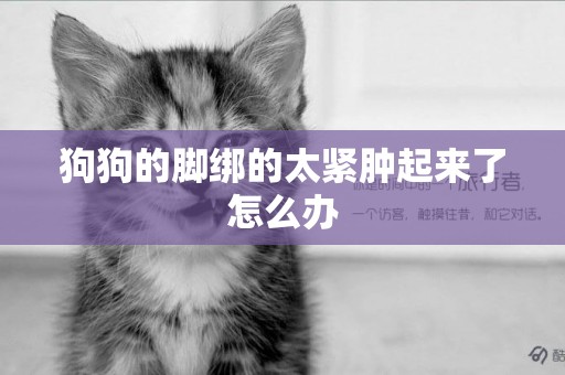 狗狗的腳綁的太緊腫起來了怎么辦