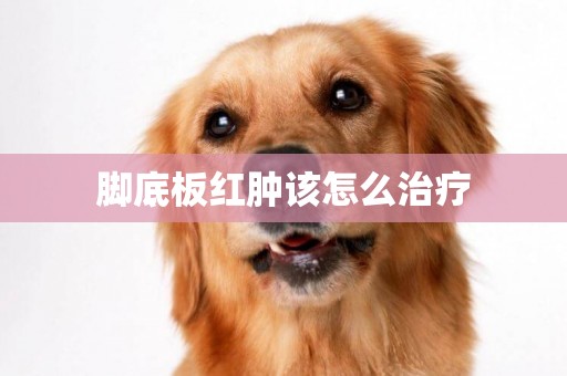 腳底板紅腫該怎么治療