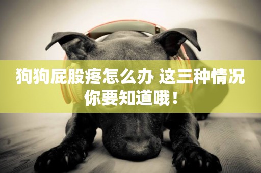 狗狗屁股疼怎么辦 這三種情況你要知道哦！