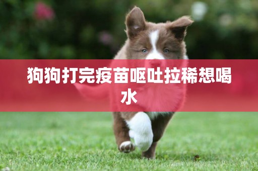 狗狗打完疫苗嘔吐拉稀想喝水