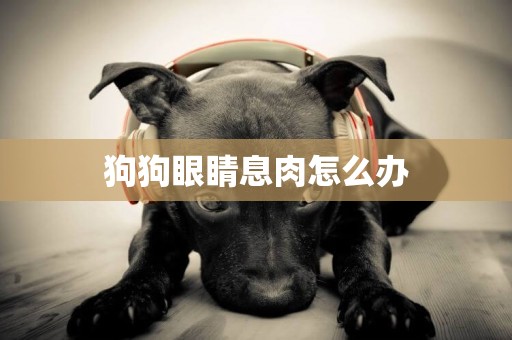 狗狗眼睛息肉怎么辦