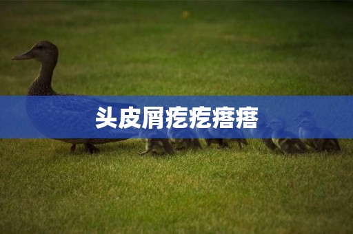頭皮屑疙疙瘩瘩