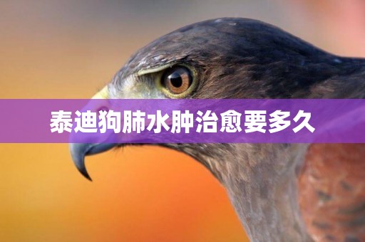 泰迪狗肺水腫治愈要多久