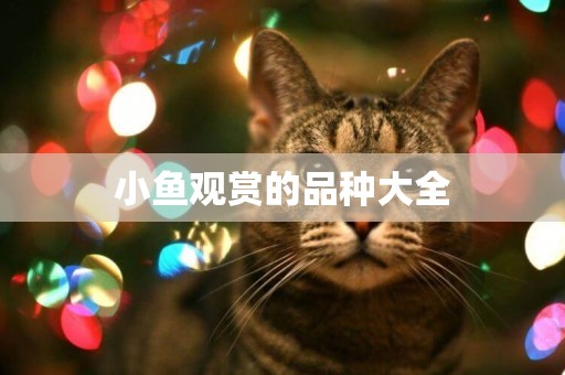 小魚觀賞的品種大全