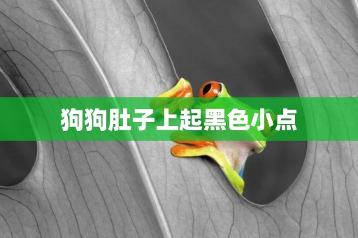 狗狗肚子上起黑色小點