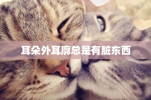 耳朵外耳廓總是有臟東西