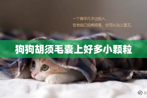 狗狗胡須毛囊上好多小顆粒