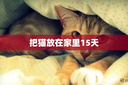 把貓放在家里15天