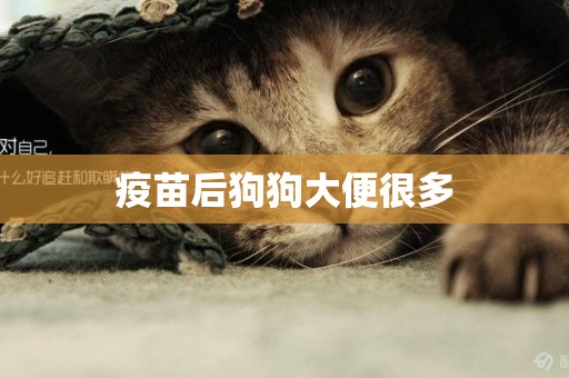 疫苗后狗狗大便很多