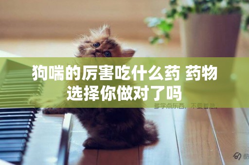 狗喘的厲害吃什么藥 藥物選擇你做對了嗎