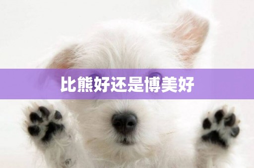 比熊好還是博美好