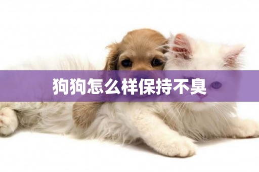 狗狗怎么樣保持不臭