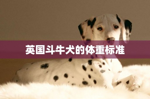 英國斗牛犬的體重標準