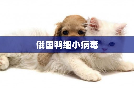 俄國鴨細小病毒