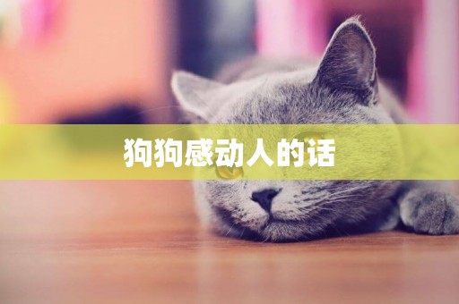 狗狗感動人的話