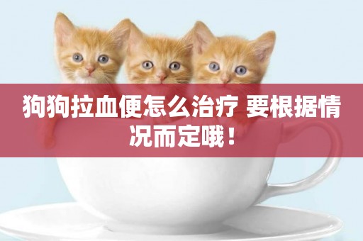 狗狗拉血便怎么治療 要根據情況而定哦！