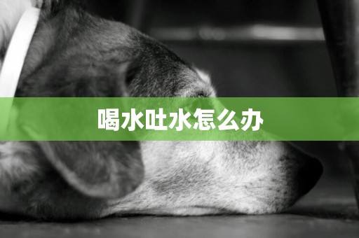 喝水吐水怎么辦