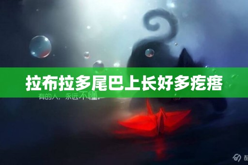 拉布拉多尾巴上長好多疙瘩