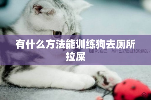 有什么方法能訓練狗去廁所拉屎