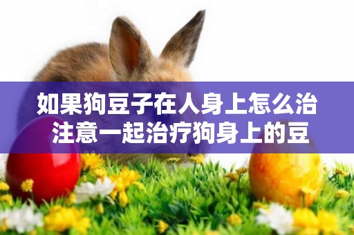 如果狗豆子在人身上怎么治 注意一起治療狗身上的豆子!