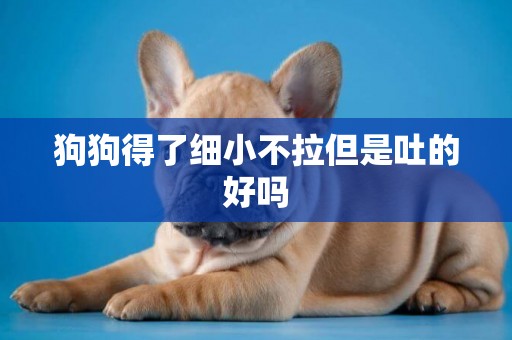 狗狗得了細小不拉但是吐的好嗎