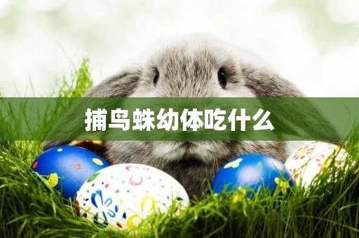 捕鳥蛛幼體吃什么