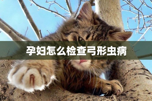 孕婦怎么檢查弓形蟲病