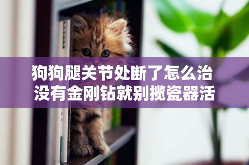 狗狗腿關節處斷了怎么治 沒有金剛鉆就別攬瓷器活