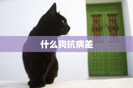 什么狗抗病差