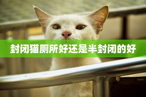 封閉貓廁所好還是半封閉的好