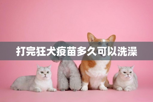 打完狂犬疫苗多久可以洗澡