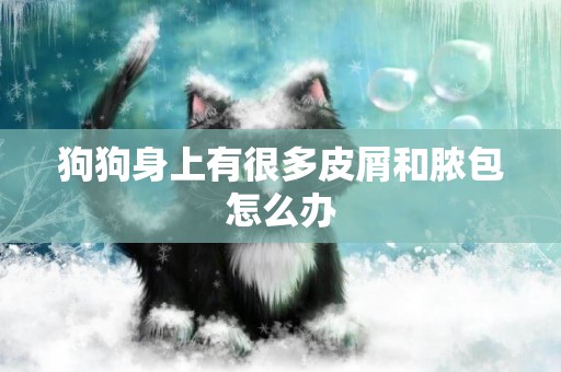 狗狗身上有很多皮屑和膿包怎么辦