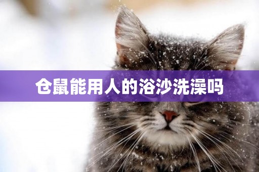 倉鼠能用人的浴沙洗澡嗎