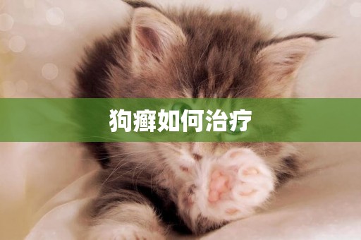 狗癬如何治療