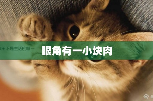 眼角有一小塊肉
