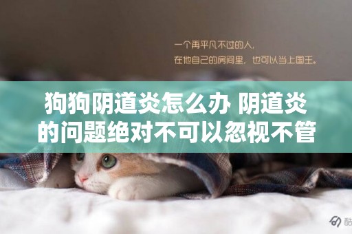 狗狗陰道炎怎么辦 陰道炎的問題絕對不可以忽視不管! 狗狗陰道炎怎么辦 陰道炎的問題絕對不可以忽視不管!