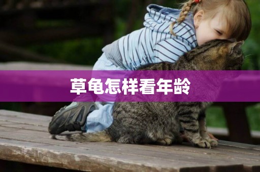 草龜怎樣看年齡