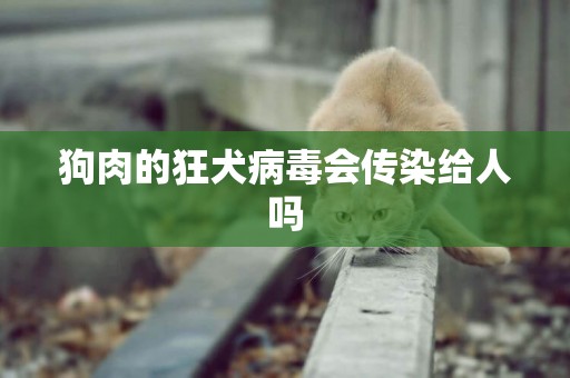 狗肉的狂犬病毒會傳染給人嗎