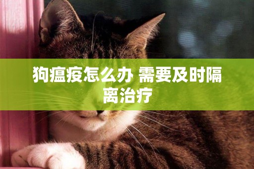 狗瘟疫怎么辦 需要及時隔離治療