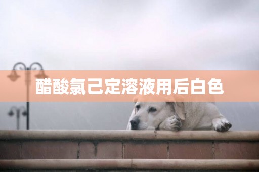 醋酸氯己定溶液用后白色