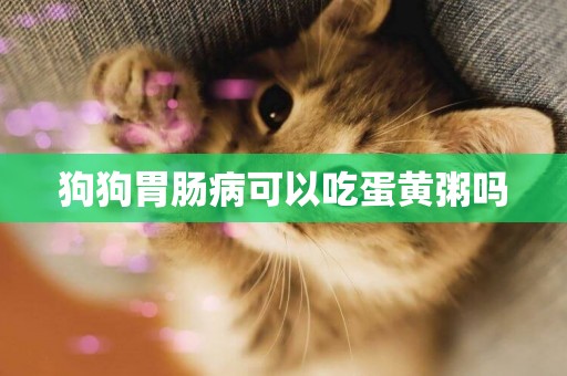 狗狗胃腸病可以吃蛋黃粥嗎