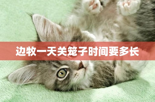 邊牧一天關籠子時間要多長